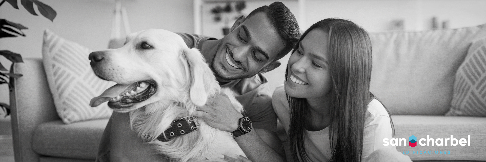 san-charbel-blog-departamentos-pet-friendly Conoce los beneficios de los departamentos pet friendly.