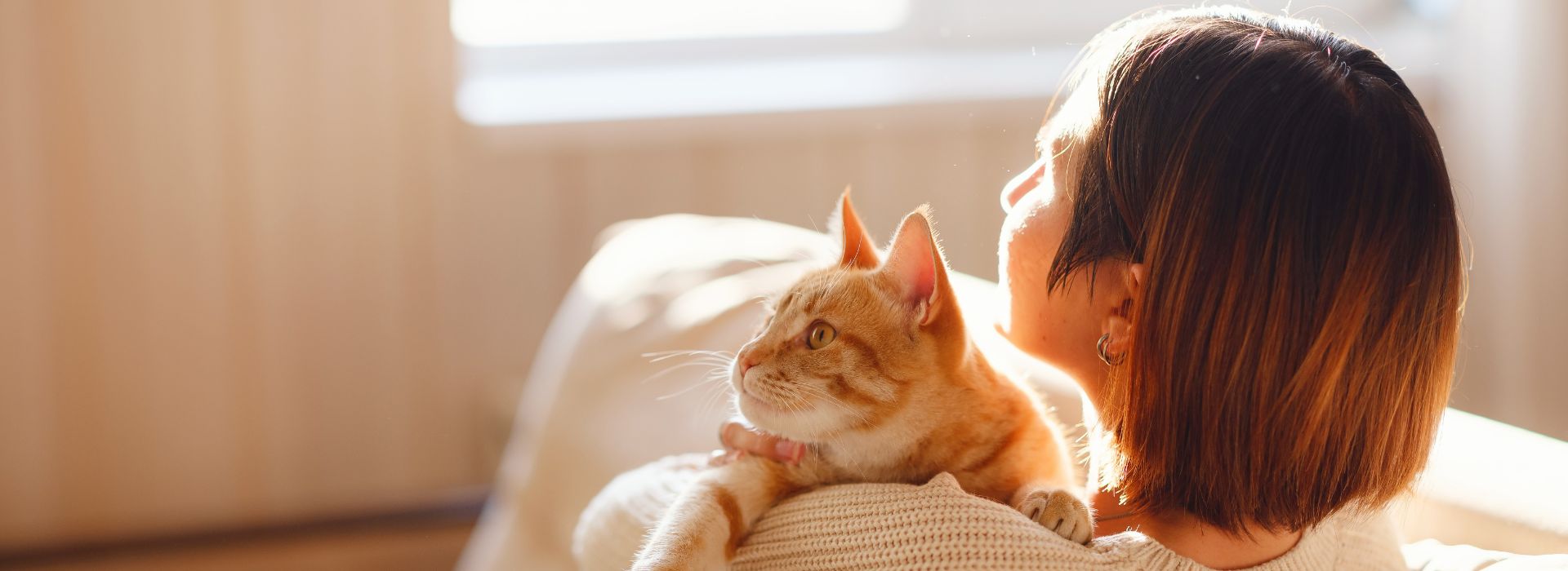 san-charbel-blog-razas-de-gatos-pequeños En este artículo sirve de guía para las personas que buscan razas de gatos pequeños para vivir en un departamento.